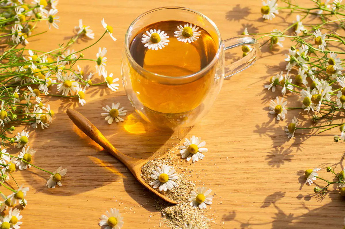 Featured image for “The Benefits of Manzanilla: Soothing Southwest Chamomile”